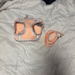 Peach Dog Harness and Leash Set